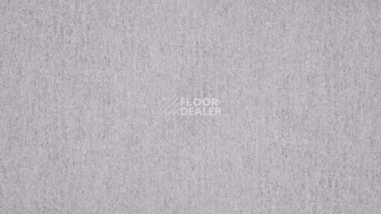 Линолеум Tarkett Travertine Pro PRO_GREY 02 фото 1 | FLOORDEALER